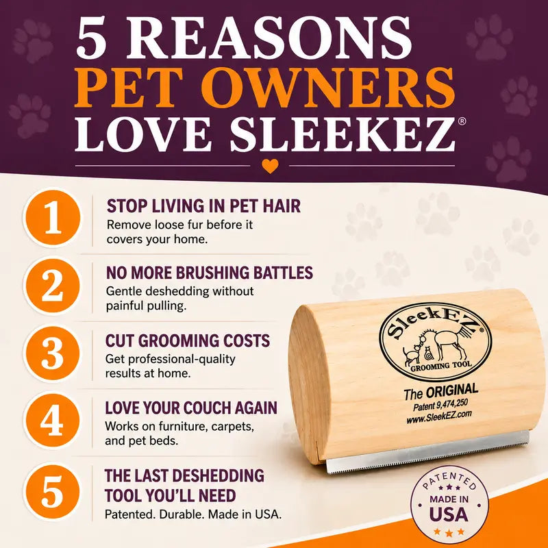 Remove Loose Dog Hair Before It Covers Your Home