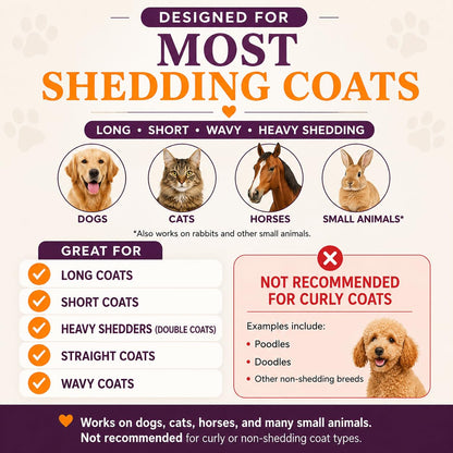 Remove Loose Dog Hair Before It Covers Your Home