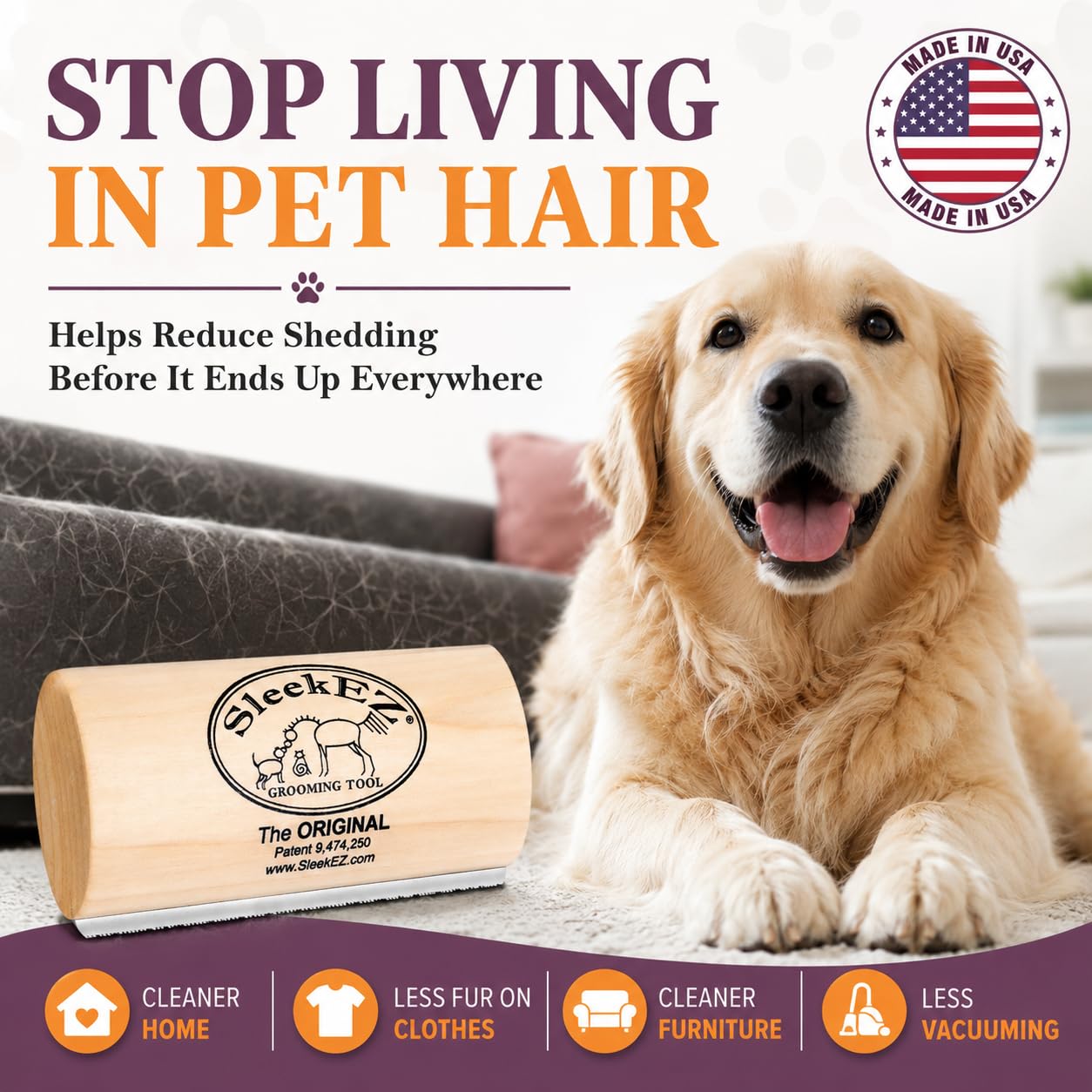 Remove Loose Dog Hair Before It Covers Your Home