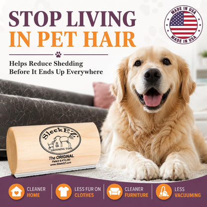 Remove Loose Dog Hair Before It Covers Your Home