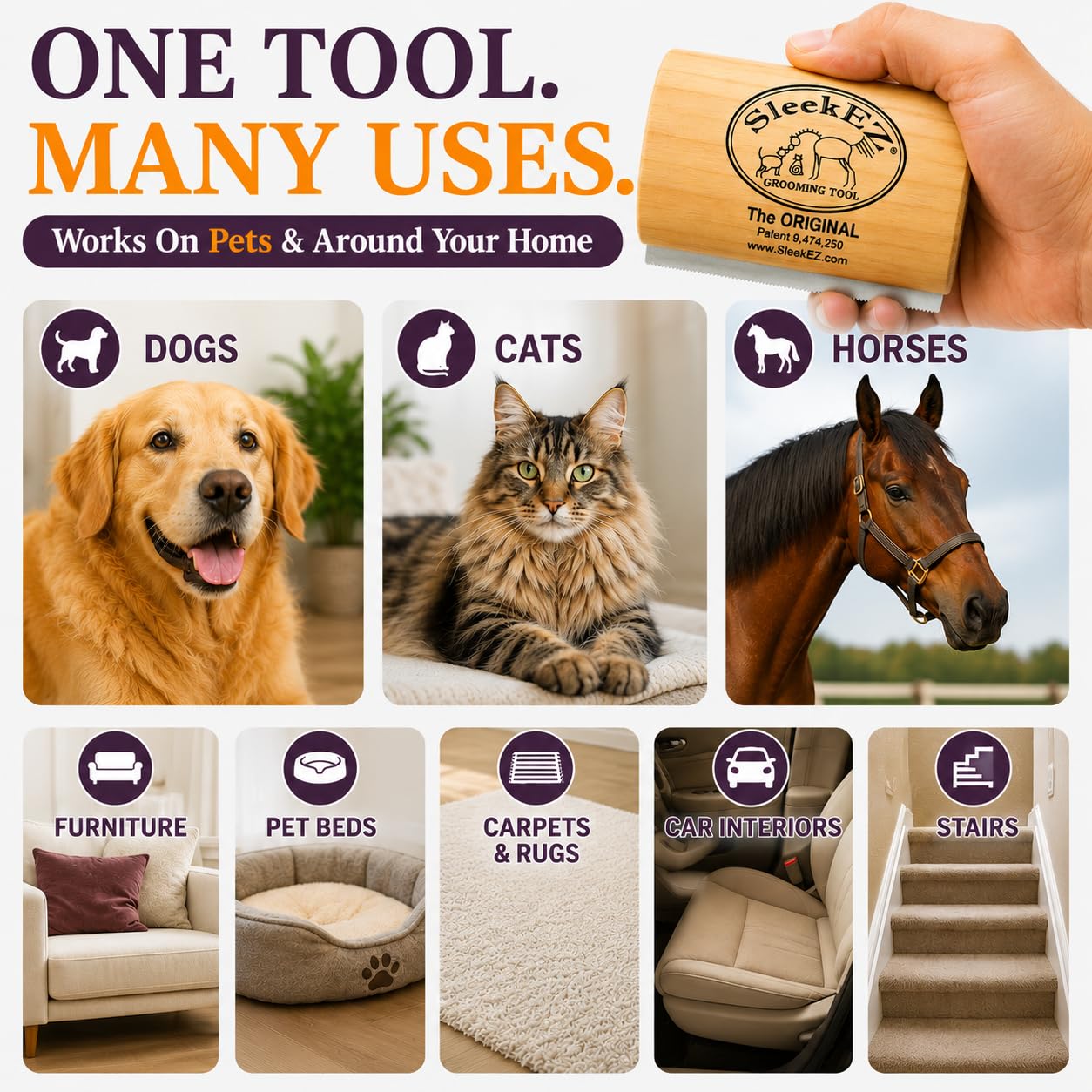 Remove Loose Dog Hair Before It Covers Your Home